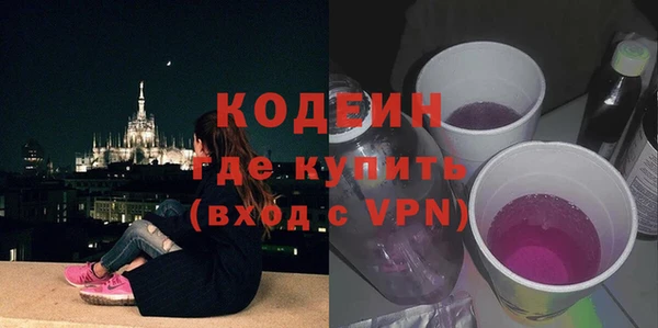 прущие грибы Россошь