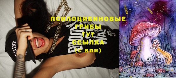 прущие грибы Россошь