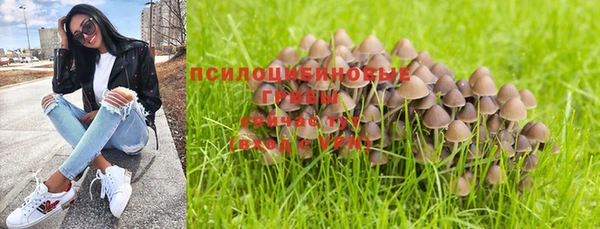 экстази Рославль