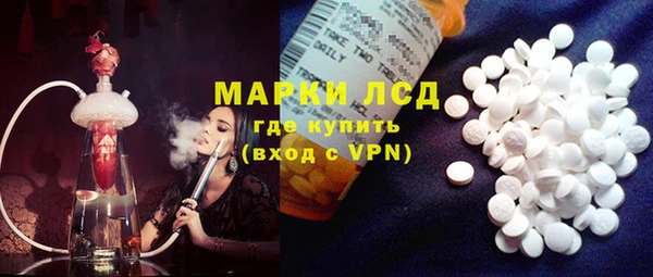 прущие грибы Россошь