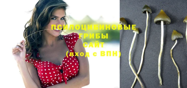прущие грибы Россошь